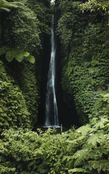 Bali, Indonesia, waterfall Wallpaper 1752x2800