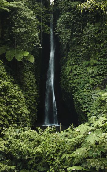 Bali, Indonesia, waterfall Wallpaper 1600x2560