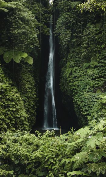 Bali, Indonesia, waterfall Wallpaper 1200x2000