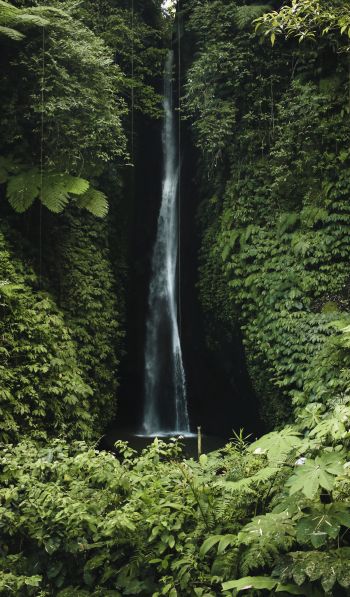 Bali, Indonesia, waterfall Wallpaper 600x1024