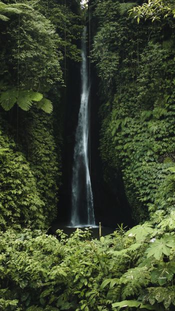 Bali, Indonesia, waterfall Wallpaper 2160x3840