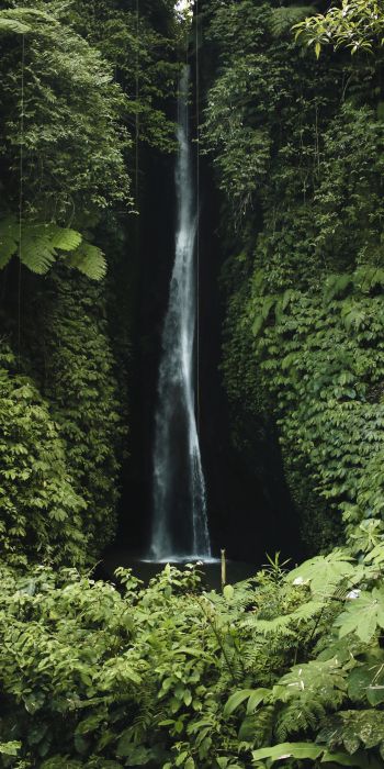 Обои 720x1440 Бали, Индонезия, водопад