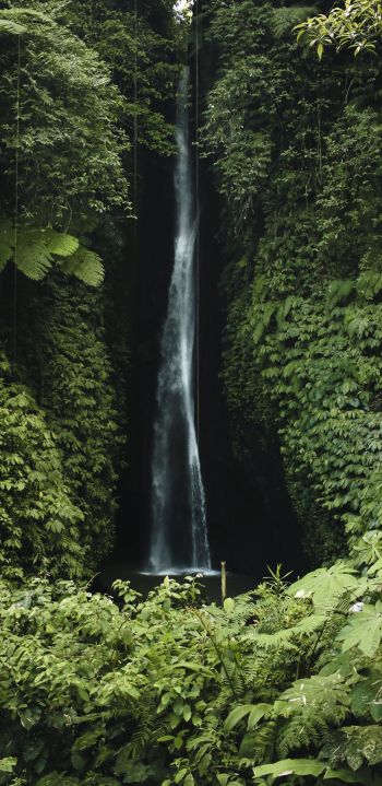 Bali, Indonesia, waterfall Wallpaper 1440x2960