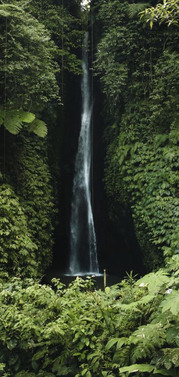 Bali, Indonesia, waterfall Wallpaper 1440x3040