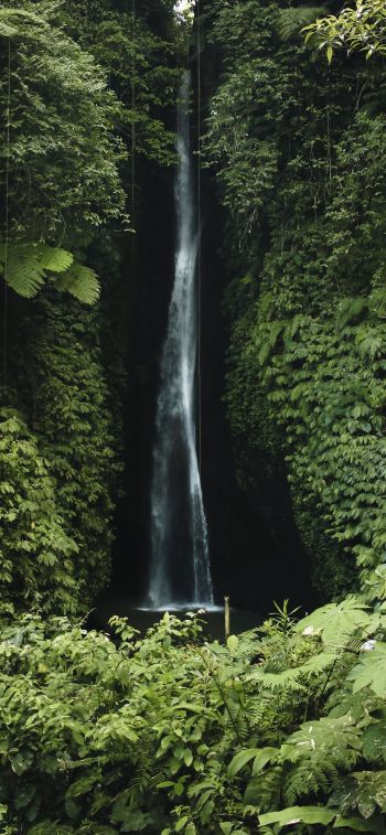 Bali, Indonesia, waterfall Wallpaper 1242x2688