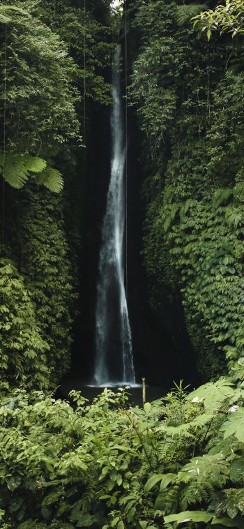 Обои 1080x2340 Бали, Индонезия, водопад