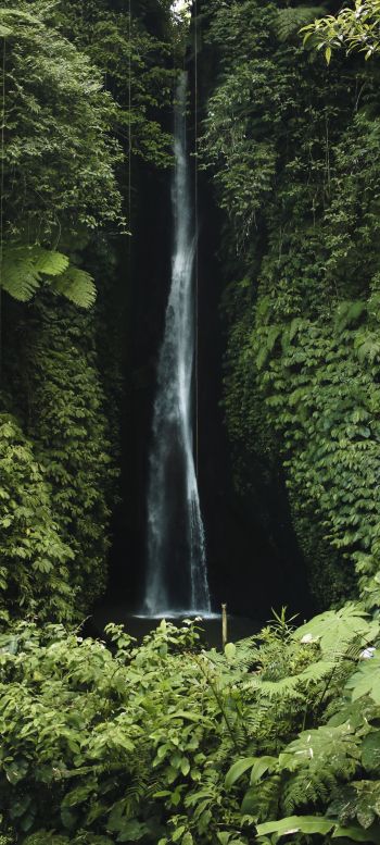 Bali, Indonesia, waterfall Wallpaper 1440x3200