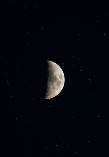 moon, stars Wallpaper 1668x2388