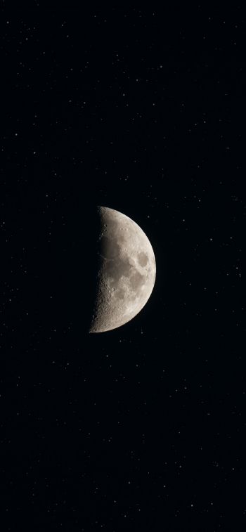 moon, stars Wallpaper 828x1792
