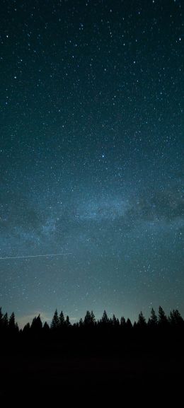 starry sky, forest Wallpaper 1080x2400