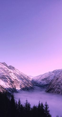 Bernese Oberland, Lauterbrunnen, Switzerland Wallpaper 1639x3106