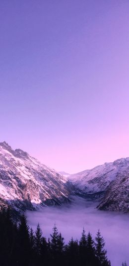 Bernese Oberland, Lauterbrunnen, Switzerland Wallpaper 1440x2960