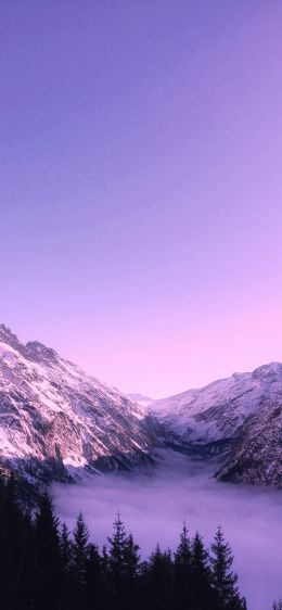 Bernese Oberland, Lauterbrunnen, Switzerland Wallpaper 1242x2688