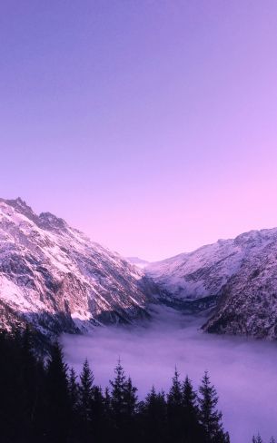 Bernese Oberland, Lauterbrunnen, Switzerland Wallpaper 800x1280