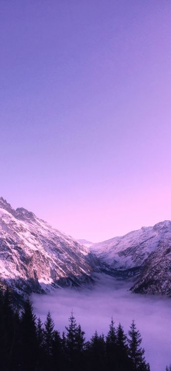 Bernese Oberland, Lauterbrunnen, Switzerland Wallpaper 1080x2340