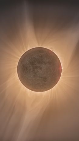 astronomy, sun rays Wallpaper 750x1334