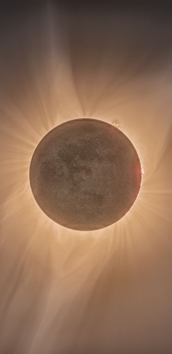 astronomy, sun rays Wallpaper 1080x2220