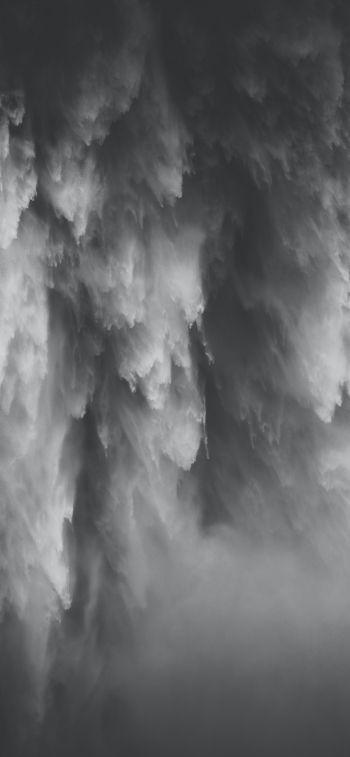 drop, water Wallpaper 828x1792