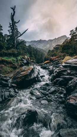 Mount Aspiring, New Zealand Wallpaper 640x1136