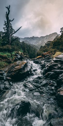 Mount Aspiring, New Zealand Wallpaper 720x1440