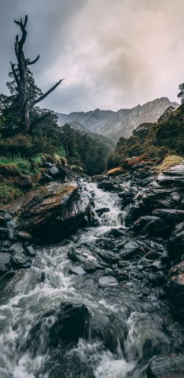 Mount Aspiring, New Zealand Wallpaper 1080x2220