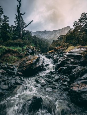 Mount Aspiring, New Zealand Wallpaper 1668x2224