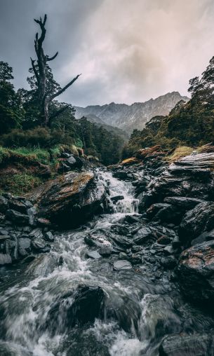 Mount Aspiring, New Zealand Wallpaper 1200x2000