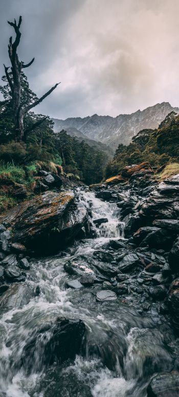 Mount Aspiring, New Zealand Wallpaper 720x1600
