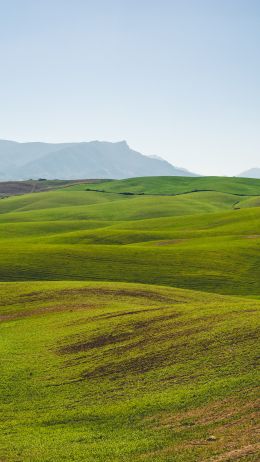 hills, green Wallpaper 2160x3840