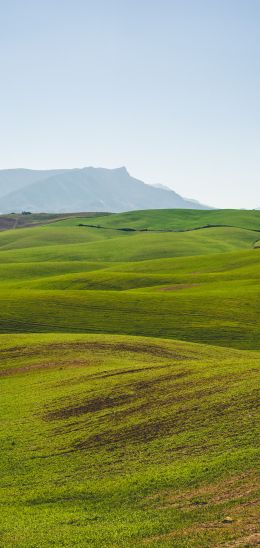 hills, green Wallpaper 1440x3040