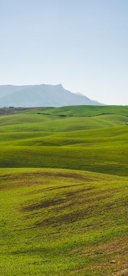 hills, green Wallpaper 1242x2688