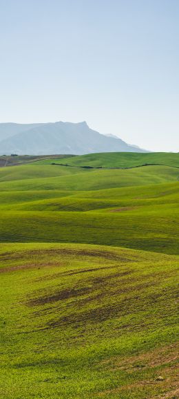 hills, green Wallpaper 1080x2400