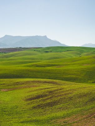 hills, green Wallpaper 1620x2160