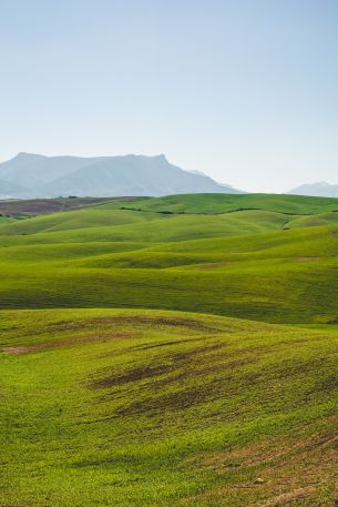 hills, green Wallpaper 4000x6000