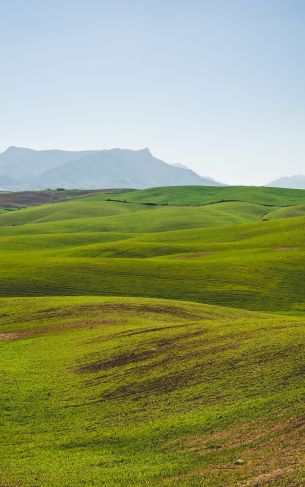 hills, green Wallpaper 1752x2800