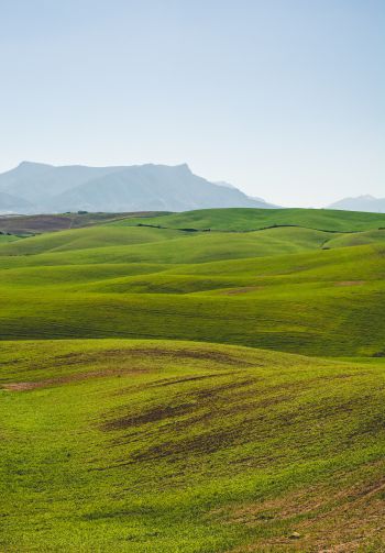 hills, green Wallpaper 1640x2360