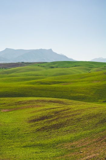 hills, green Wallpaper 640x960
