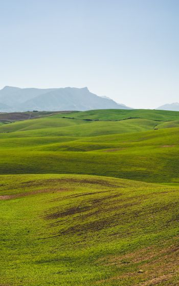 hills, green Wallpaper 1200x1920