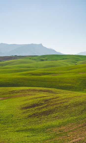 hills, green Wallpaper 1200x2000