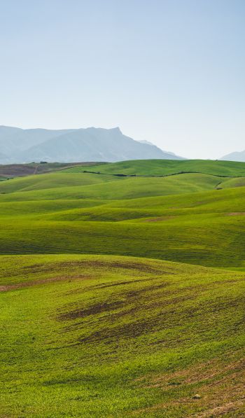 hills, green Wallpaper 600x1024