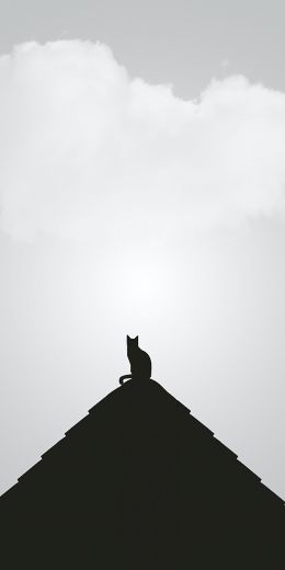 clouds, cat, pyramid Wallpaper 720x1440