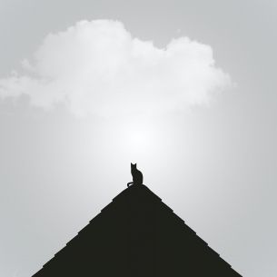 clouds, cat, pyramid Wallpaper 6254x6254