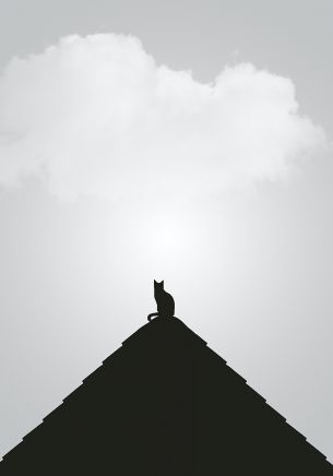 clouds, cat, pyramid Wallpaper 1668x2388