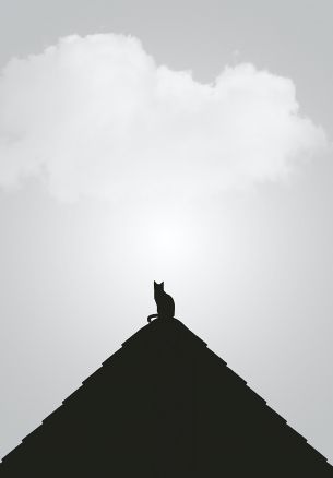 clouds, cat, pyramid Wallpaper 1640x2360