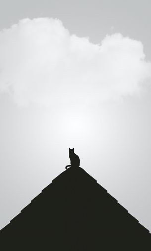 clouds, cat, pyramid Wallpaper 1200x2000