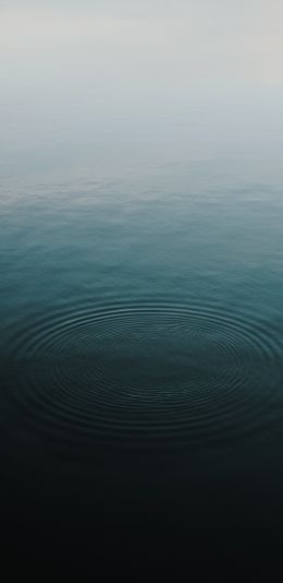 ripple, water Wallpaper 1080x2220