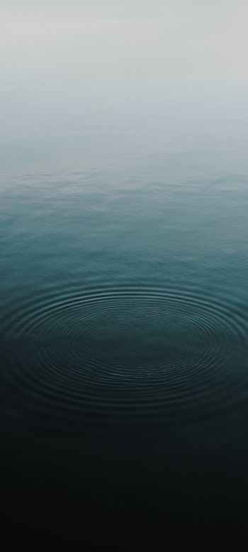 ripple, water Wallpaper 720x1600
