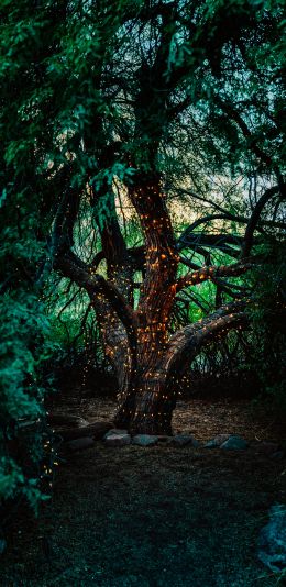 tree, lights Wallpaper 1080x2220