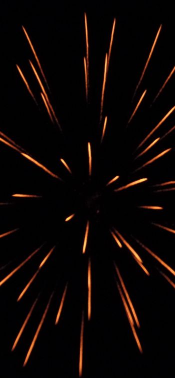 fireworks, holiday lights Wallpaper 1170x2532