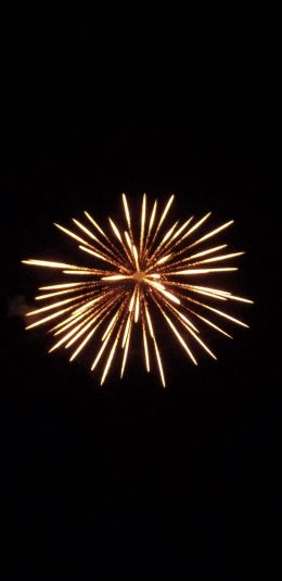 fireworks, fireworks Wallpaper 1080x2220